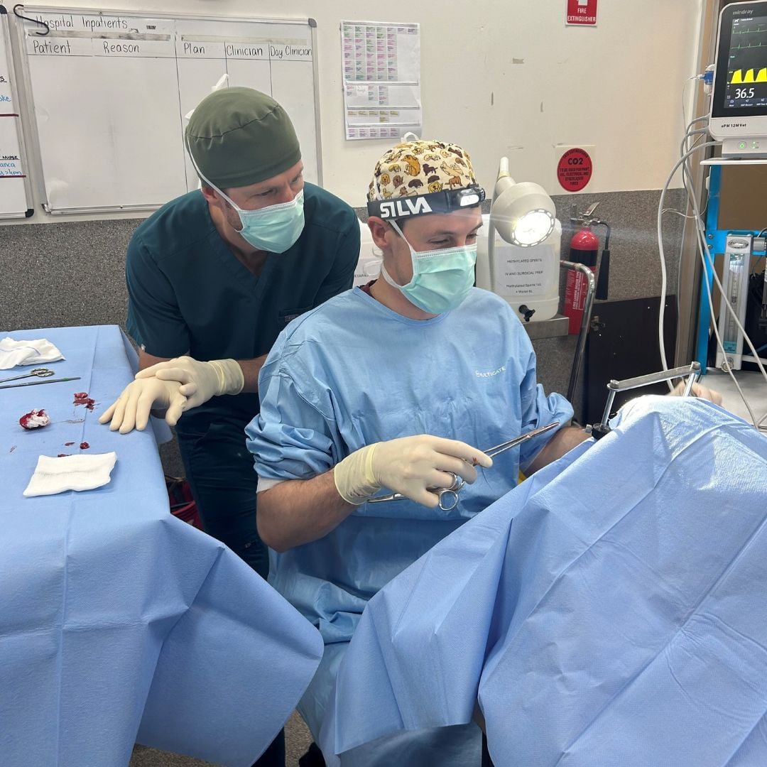 Effects of Local Anaesthetics During BOAS Surgery Effects of Local Anaesthetics During BOAS Surgery